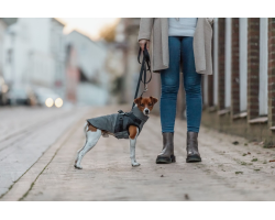 Manteau Trixie Pontis pour chien avec harnais intégré