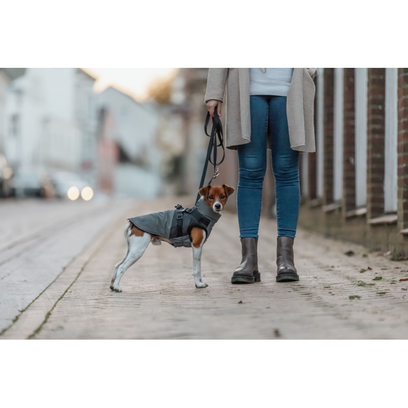 Manteau Trixie Pontis pour chien avec harnais intégré
