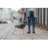 Manteau Trixie Pontis pour chien avec harnais intégré