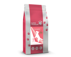 Croquettes Super Premium Saumon pour chiots grandes races - INSTINCTIV CROC