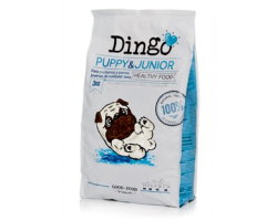 Dingo Puppy & Junior | Alimentation premium pour chiots et jeunes chiens