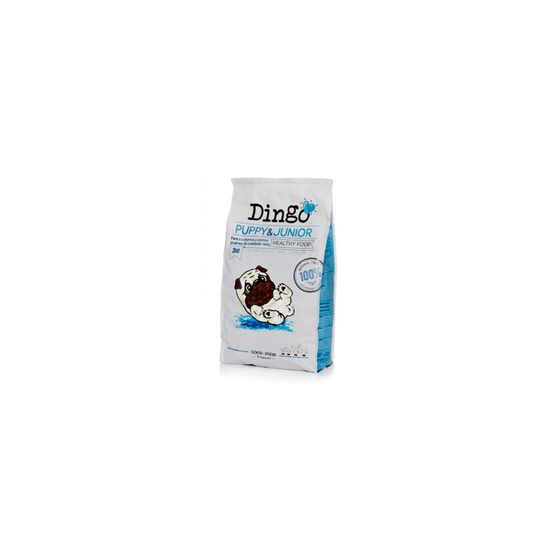 Dingo Puppy & Junior | Alimentation premium pour chiots et jeunes chiens