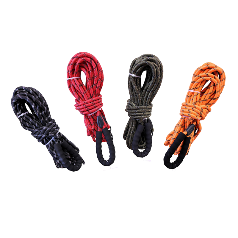 Longe de 15 m en paracorde, mon ami Luki - Laisse pour chiens