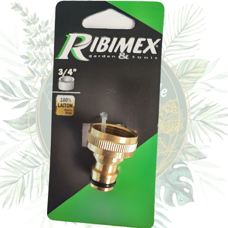 Nez de robinet en laiton 3/4" - Connexion fiable pour le jardin