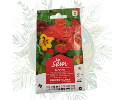 Capucine naine en mélange - Fleurs colorées pour votre jardin