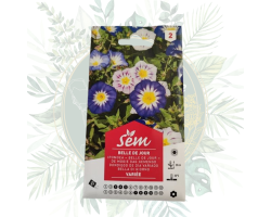 Belle de jour varié - Plante annuelle facile à cultiver