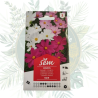Cosmos nain - Fleurs faciles à cultiver pour votre jardin