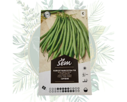 Haricot nain extra fin Cupidon - Sélection jardin