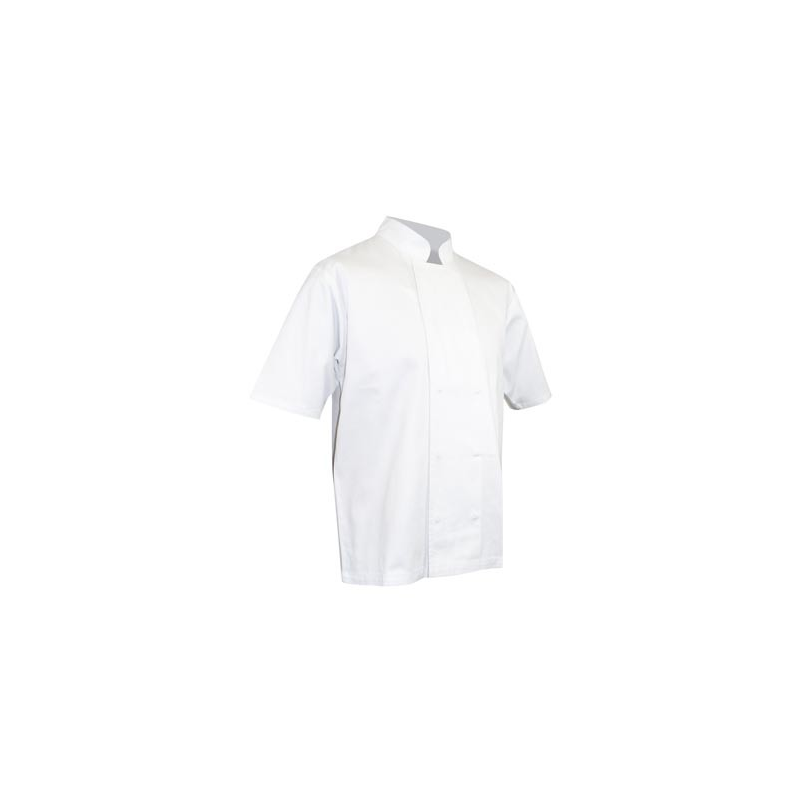 Veste de cuisinier manches courtes Merlu LMA - Élégance et Confort