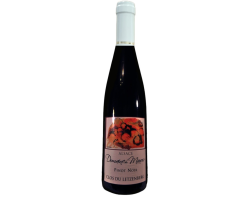 Pinot Noir 2024 Clos du Letzenberg - Vin Rouge d'Alsace | 75cl