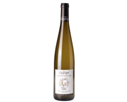 Riesling Grand Cru Eichberg Domaine Ginglinger Bio 2022 - Vin Blanc Sec