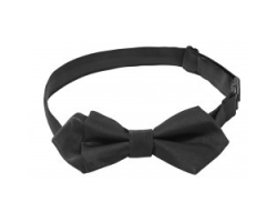 Nœud papillon réglable Molinel - Élégance pour professionnels