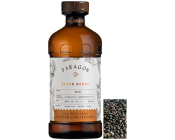 Cordial Baie de Timur "Paragon" Monin 48.5cl - Boissons Premium