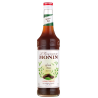 GREEN TEA THÉ VERT CONCENTRÉ MONIN 70CL - Boisson authentique