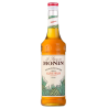 Sirop d'agave Monin 70 cl - Douceur naturelle pour vos boissons