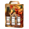 Coffret boissons hivernales Monin sirops 3x25cl - Saveurs authentiques