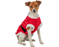 Manteau Santa pour chiens - Déguisement festive en peluche douce