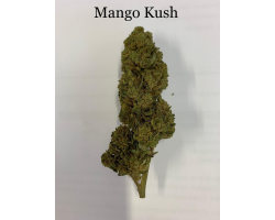 Mango Kush (5g) - Fleur CBD haut de gamme pour relaxation