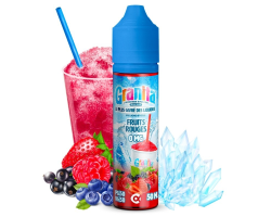 Fruits Rouges - Granita 50ml | E-liquide Onctueux