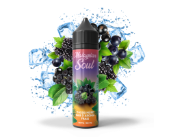 Cassis Mûre Baies d'Aronia 50ml - Malaysian Soul | E-liquide premium