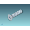 Vis à tête fraisée S6x16 - Fixation de qualité supérieure