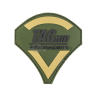 TAG. INN 3D PVC Grenadier Patch | Équipement Sportif Haut de Gamme