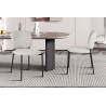 Chaise 'Sophia' Tissu Beige - Élégance et Confort