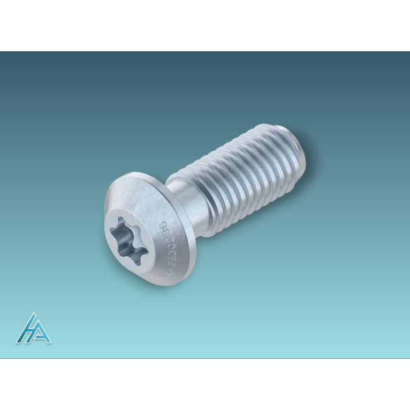 Vis centrale S12x30-Torx 50 - Vis autotaraudeuse en acier