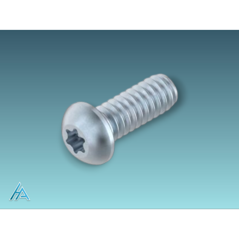 Vis centrale S6x16-Torx 25 - Économique et Efficace