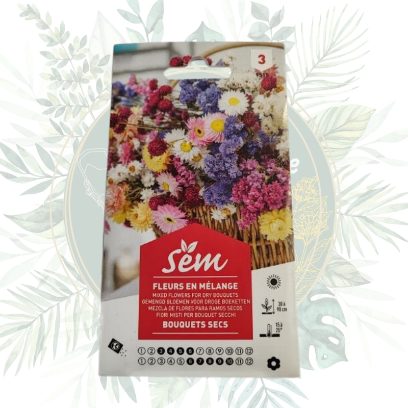 Fleurs en mélange - Mélange de fleurs pour jardin