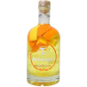 ORANGE-CITRON BIO TI ARRANGÉ DE CED 70CL 21° - Boisson Bio Unique