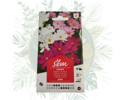 Cosmos nain – Fleurs faciles à cultiver pour le jardin