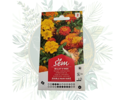 Œillet d'Inde double nain varié - Fleur pour potager et jardin