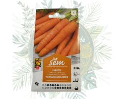 Carotte nantaise améliorée - Semences pour un jardin fructueux