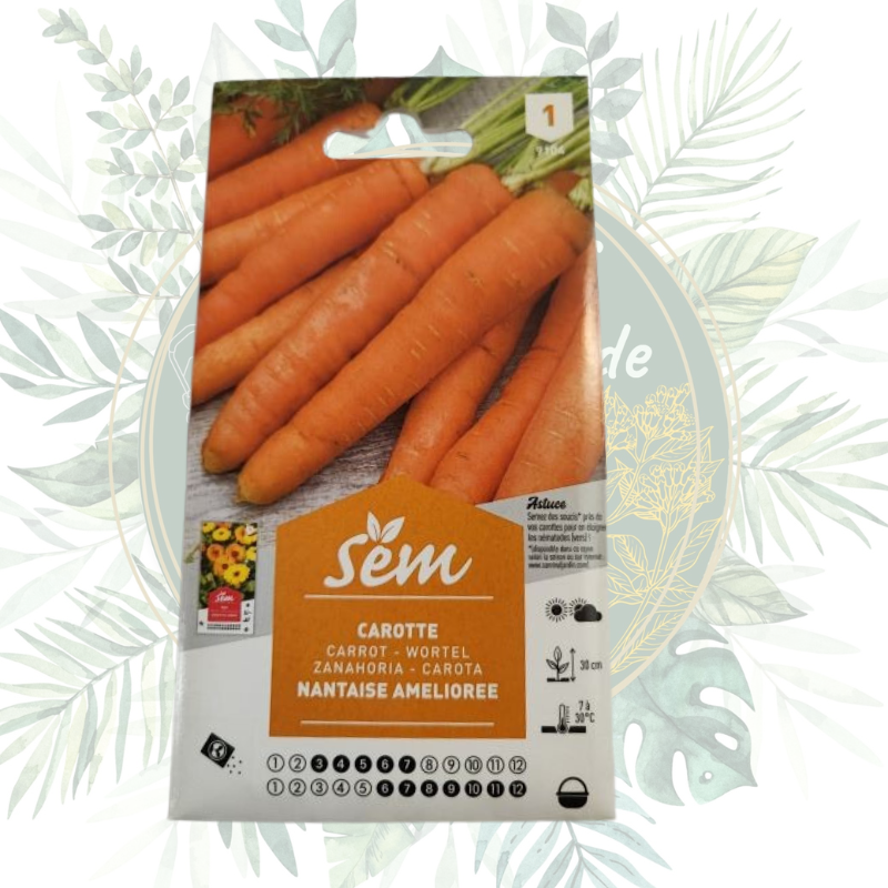 Carotte nantaise améliorée - Semences pour un jardin fructueux