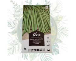 Haricot nain extra fin Nautica | Jardinage