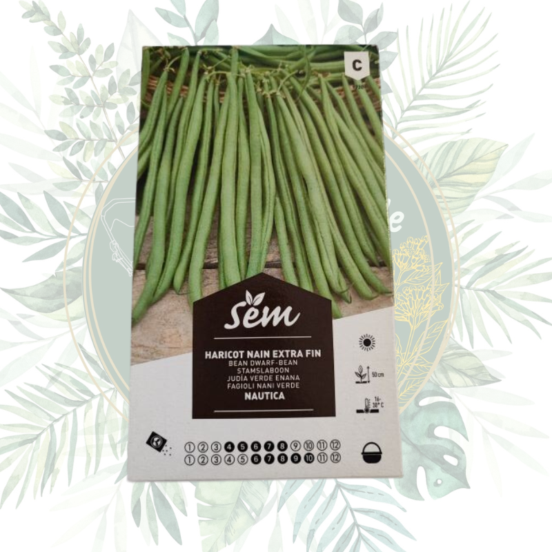 Haricot nain extra fin Nautica | Jardinage