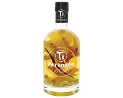 ANANAS TI ARRANGÉ DE CED 35 CL 32° - Punch au rhum d'exception