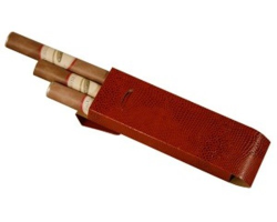 Coffret étui à cigares 3 x 3cl eaux-de-vie 40° - Élégance et qualité