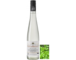 Céleri Vivace 50 cl - Eau de Vie Alsacienne de Miscault