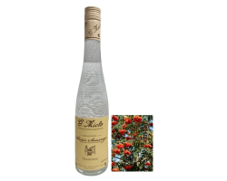 Alisier Sauvage Miclo - Eau de Vie d'Alsace 50cl 40°