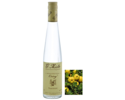 Eau de Vie Coing Miclo Tradition - Alsace 50cl 40°
