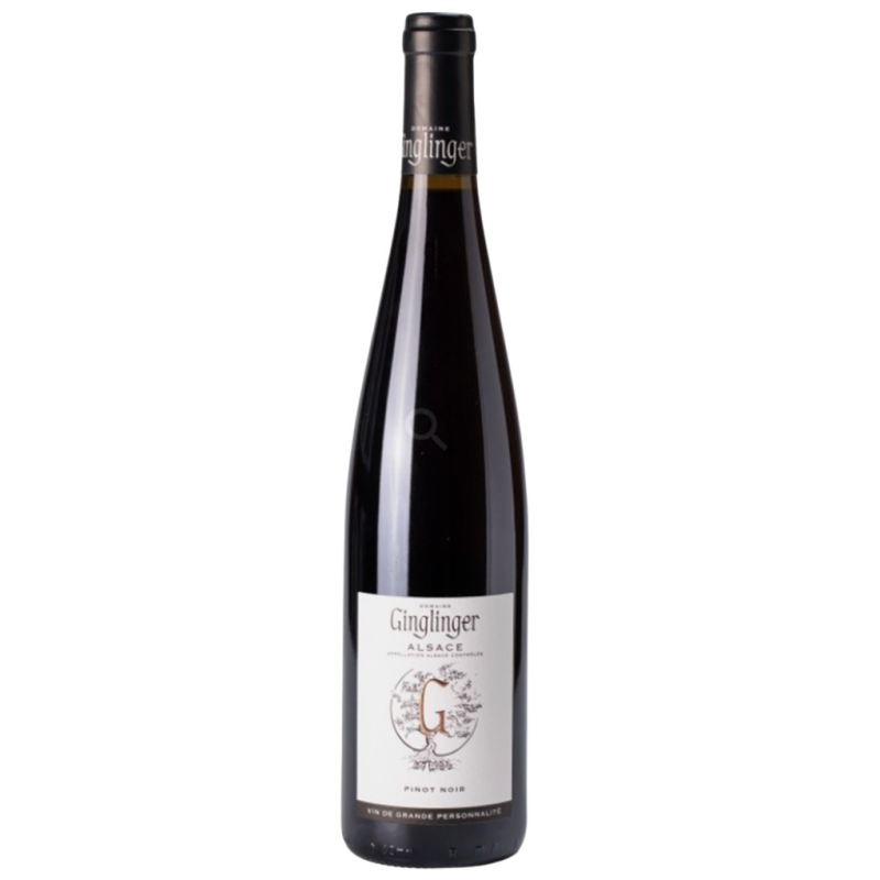 Pinot Noir Domaine Ginglinger bio 2024 - Vin Rouge Alsace AOC