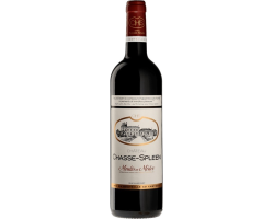 Chasse Spleen 2017 Moulis en Médoc - Vin Rouge Haut de Gamme