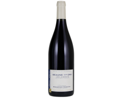 Beaune Les Aigrots 2021 1er Cru AOC - Domaine S. Magnien