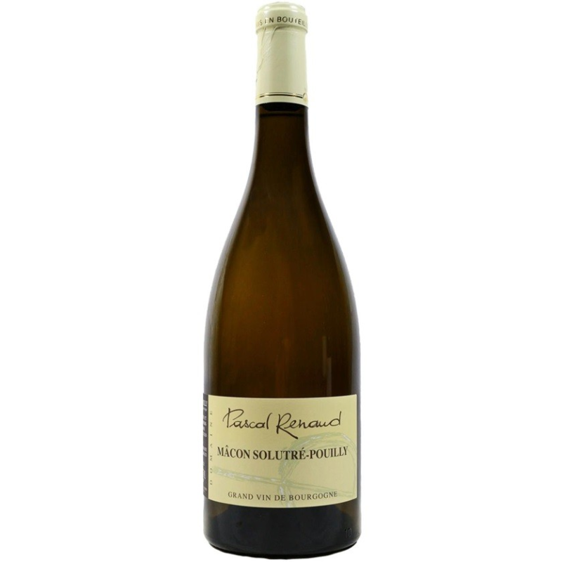Vin Mâcon Solutré-Pouilly 2023 Pascal Renaud AOP | Vin Blanc Haut de Gamme