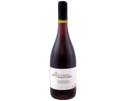 Gamay de Savoie AOC Chautagne 2021 | Vin Rouge d'Excellence