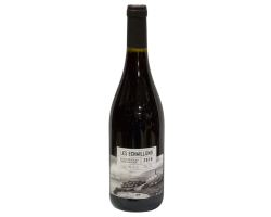 ST NICOLAS DE BOURGUEIL "LES ECHAILLONS" 2024 - Vin Rouge Haut de Gamme