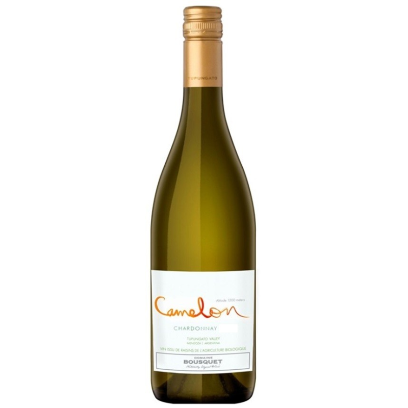 Chardonnay Cameleon Argentine Blanc Bio 2021 - Vin Haut de Gamme
