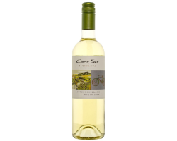 Cono Sur Bicicleta Sauvignon 2016 Chili - Vin Blanc Exceptionnel
